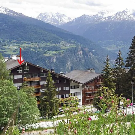 Ski-In Apartment In Anzere