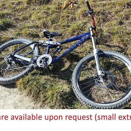 Ski-in In Appartamento *